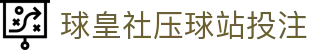 球皇社数据站|足球篮球赛事数据统计、赛况追踪与临场走势观察